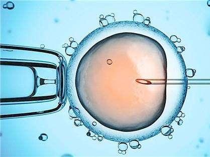 42岁高龄成功案例
